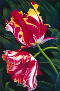 Tulips 2 by Ted Turton