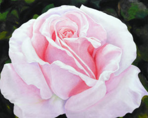 New Rose by Ted Turton